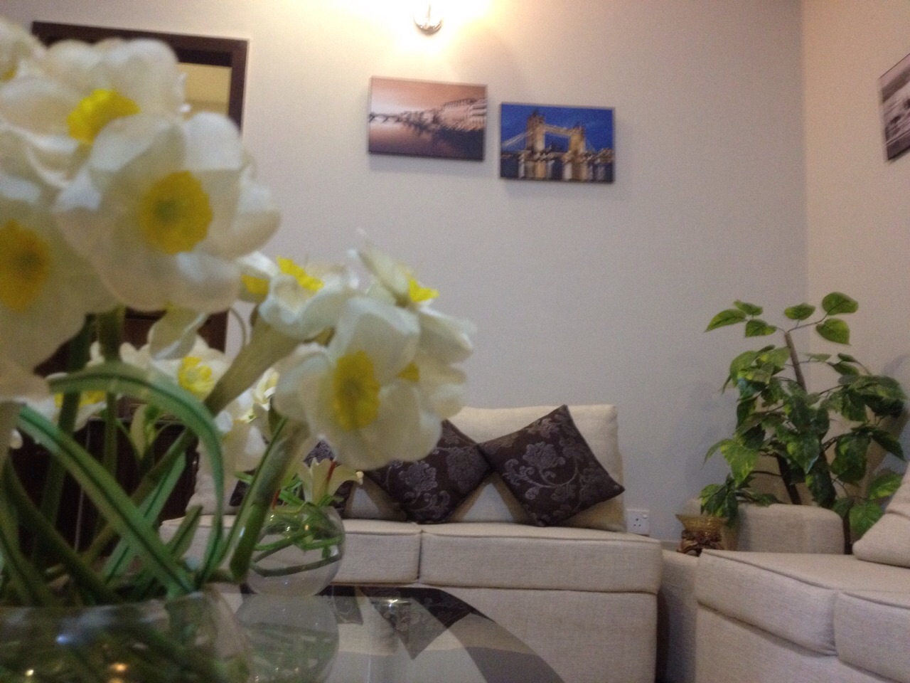 New Pic of Megnum II Flat